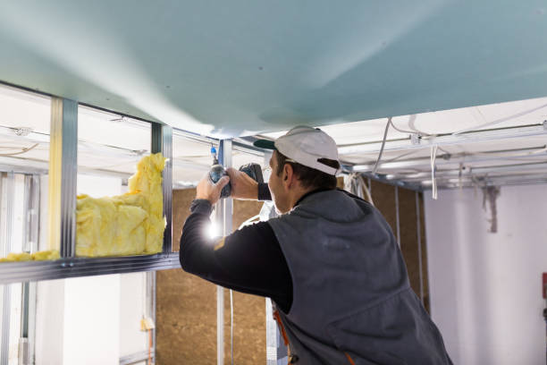 Best Commercial Insulation in Valley Hill, NC