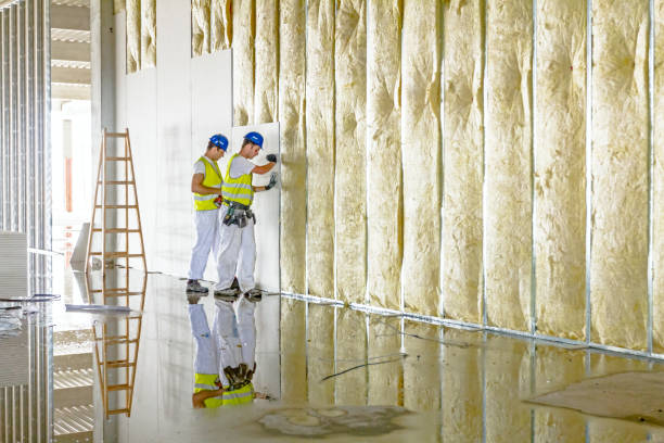 Trusted Valley Hill, NC Insulation Contractor Experts